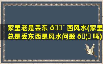 家里老是丢东 🐴 西风水(家里总是丢东西是风水问题 🦉 吗)